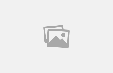 Tower Casino Review | Play Casino Online in Canada